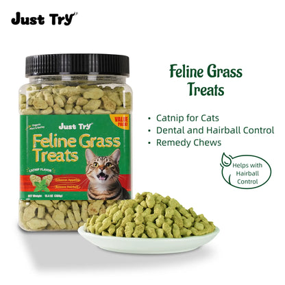 Petlovers Natural Salmon Flavor Cat Grass Treats - 13.4 OZ Healthy Snacks for Dental and Hairball Control, Ideal for Training