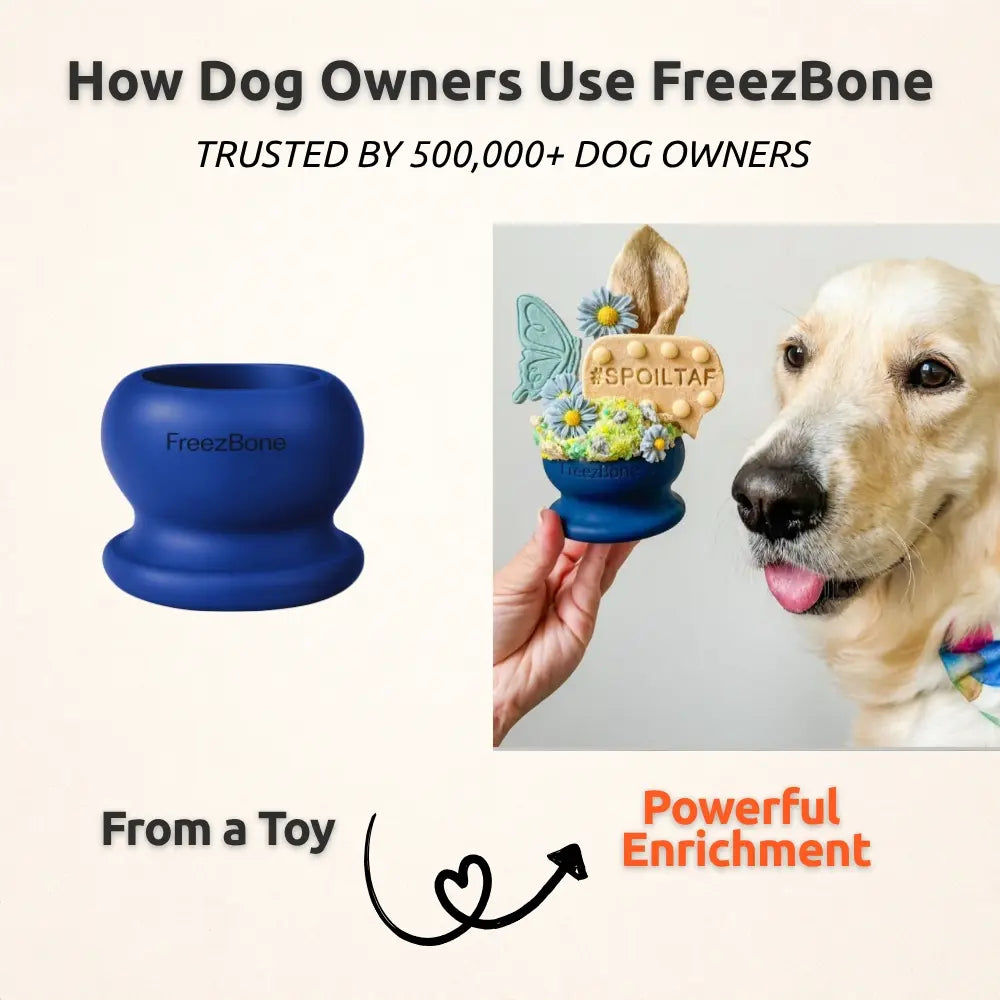 Freezball - Durable Fillable Chew Bone for Dogs