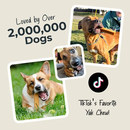 Mighty Paw Yak Cheese Dog Chews: Premium All-Natural Treats for Dogs