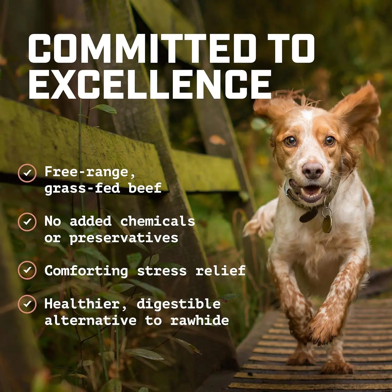 12-Inch All-Natural Bully Sticks (8 Oz./~5 Sticks) - Healthy, Low Odor Dog Chew Treats - Mixed Thickness, Lab-Tested, Hand-Inspected, and Packaged in the USA - High Protein Dog Treats