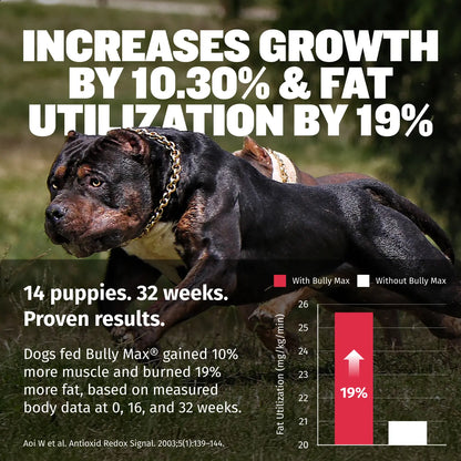 Bully Max 3-in-1 Liquid Dog Muscle Builder Supplement for Puppies and Adult Dogs - Veterinary-Approved Vitamins for Small and Large Breeds