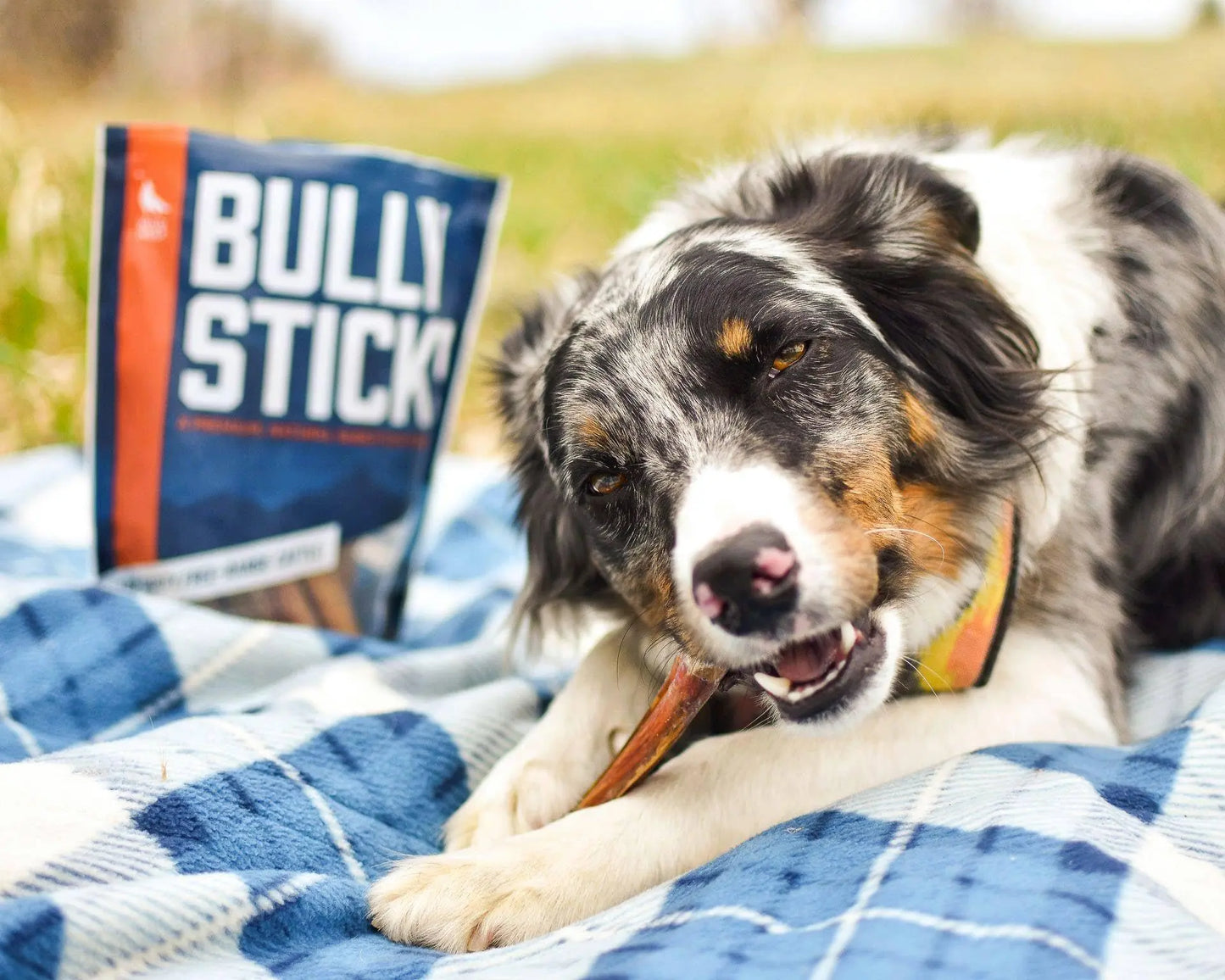 12-Inch All-Natural Bully Sticks (8 Oz./~5 Sticks) - Healthy, Low Odor Dog Chew Treats - Mixed Thickness, Lab-Tested, Hand-Inspected, and Packaged in the USA - High Protein Dog Treats
