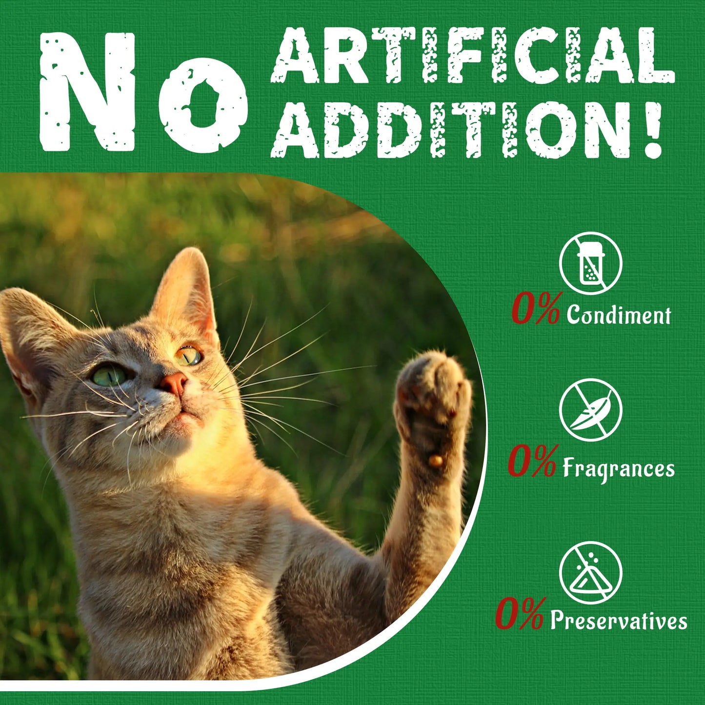 Petlovers Natural Salmon Flavor Cat Grass Treats - 13.4 OZ Healthy Snacks for Dental and Hairball Control, Ideal for Training