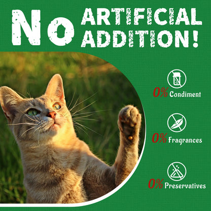Petlovers Natural Salmon Flavor Cat Grass Treats - 13.4 OZ Healthy Snacks for Dental and Hairball Control, Ideal for Training
