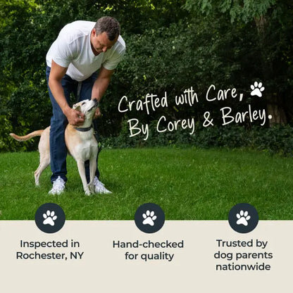 Mighty Paw Yak Cheese Dog Chews: Premium All-Natural Treats for Dogs