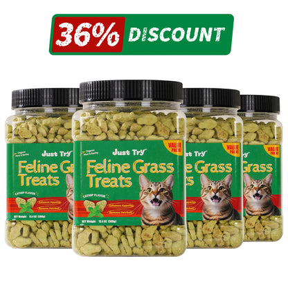 Petlovers Natural Salmon Flavor Cat Grass Treats - 13.4 OZ Healthy Snacks for Dental and Hairball Control, Ideal for Training