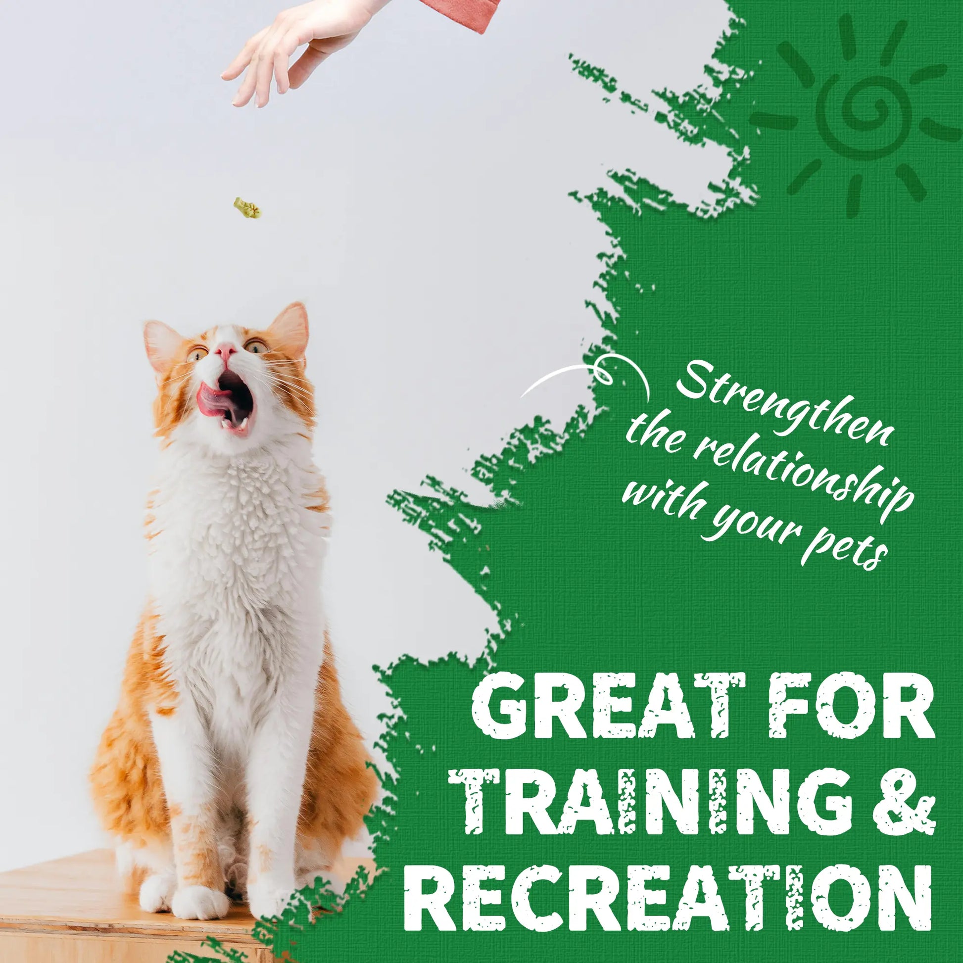 Petlovers Natural Salmon Flavor Cat Grass Treats - 13.4 OZ Healthy Snacks for Dental and Hairball Control, Ideal for Training